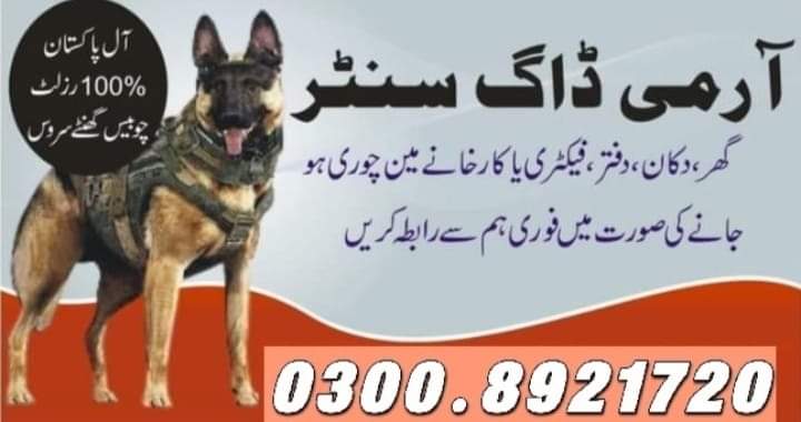 army dog center okara